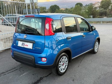 Fiat Panda 1.0 firefly Hybrid   2024 